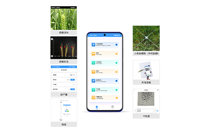 蚌埠市小麦表型检测仪IN-XM04